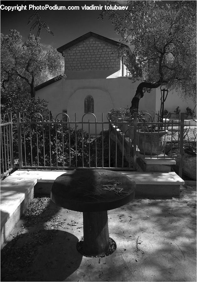 Chair, Furniture, Pool, Water, Plant, Potted Plant, Building