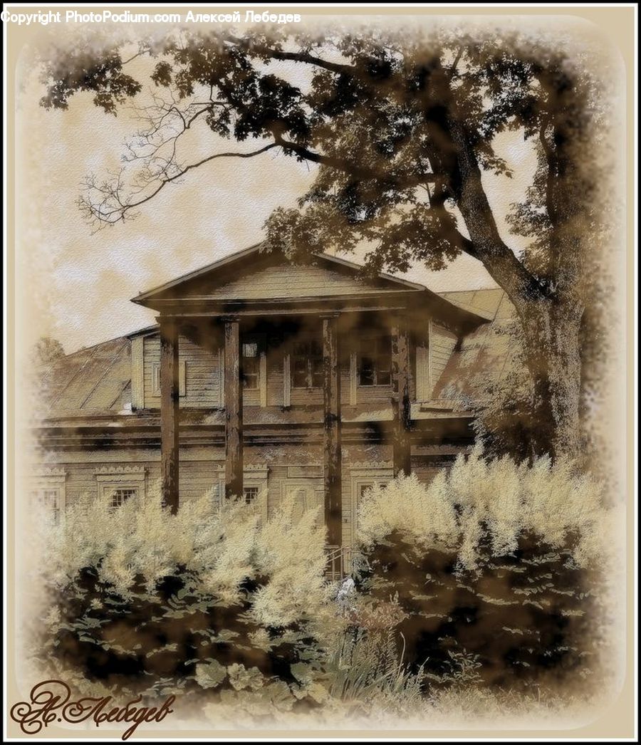 Building, Housing, Villa
