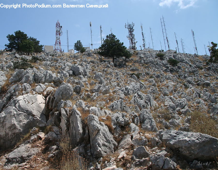 Rubble, Rock, Animal, Mammal, Sheep, Ground, Soil