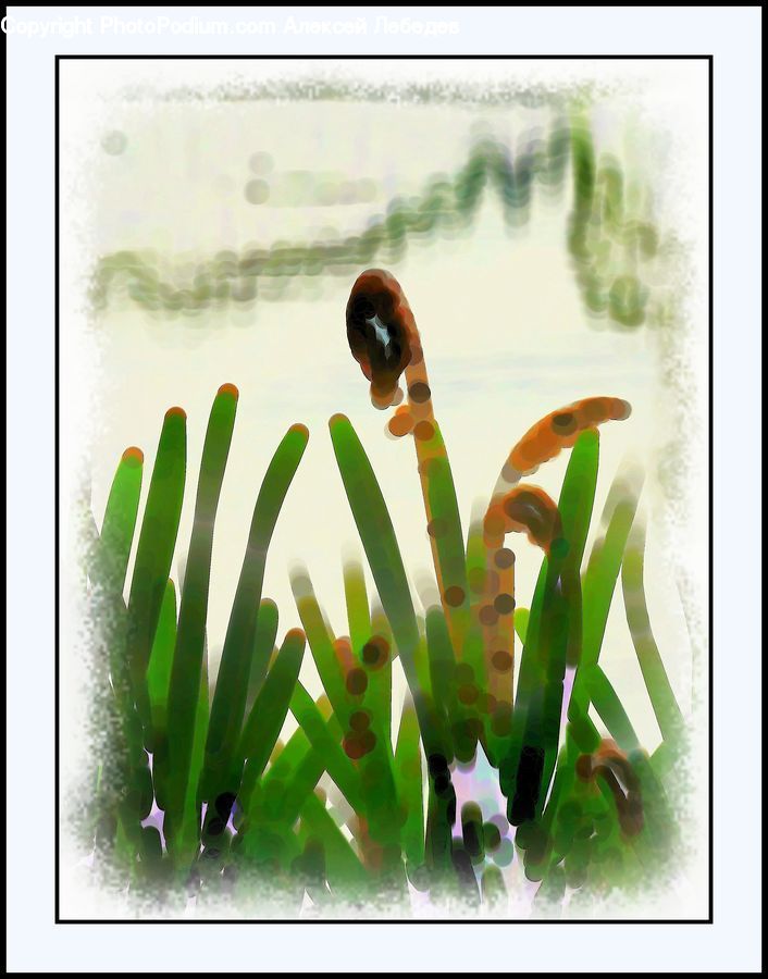 Cucumber, Vegetable, Flower Arrangement, Ikebana, Plant, Potted Plant, Vase