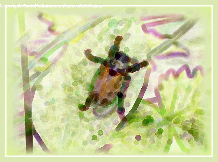 Bee, Insect, Invertebrate, Accessories