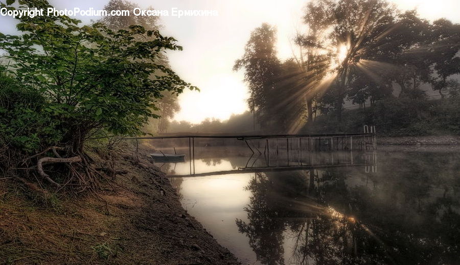 Plant, Vine, Fog, Mist, Outdoors, Canal, River