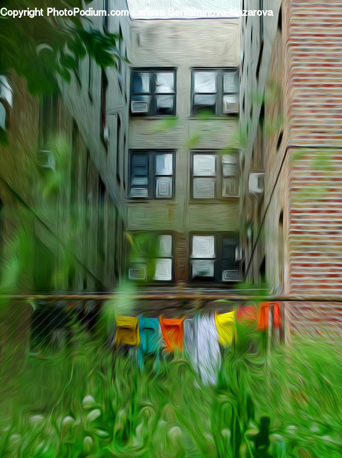 Building, Housing, Backyard, Yard, Field, Grass, Grassland