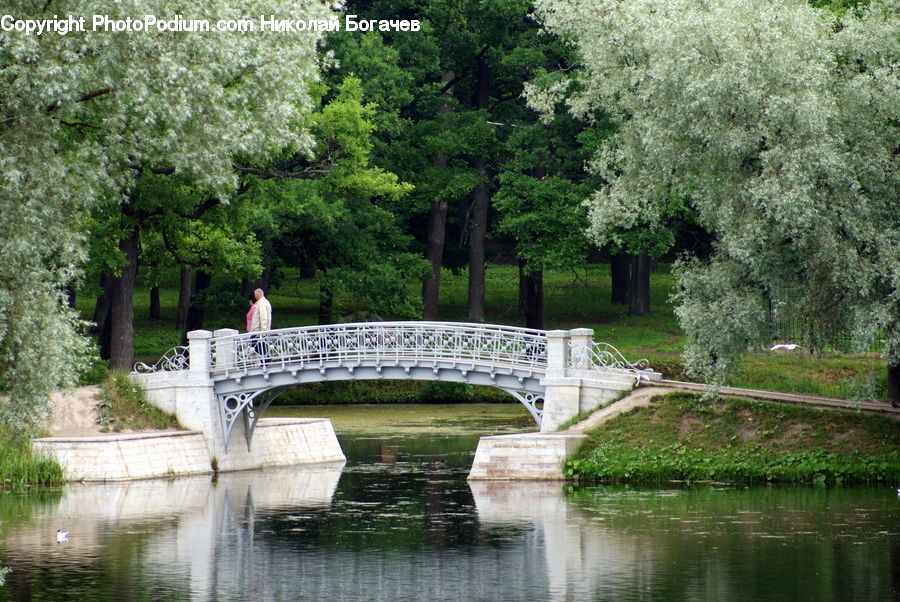 Bridge, Canal, Outdoors, River, Water, Plant, Potted Plant