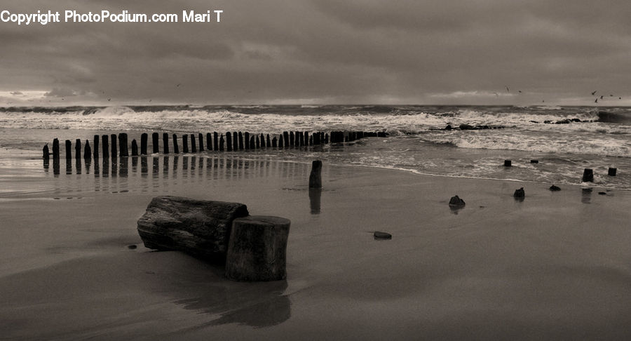 Beach, Coast, Outdoors, Sea, Water, Chair, Furniture