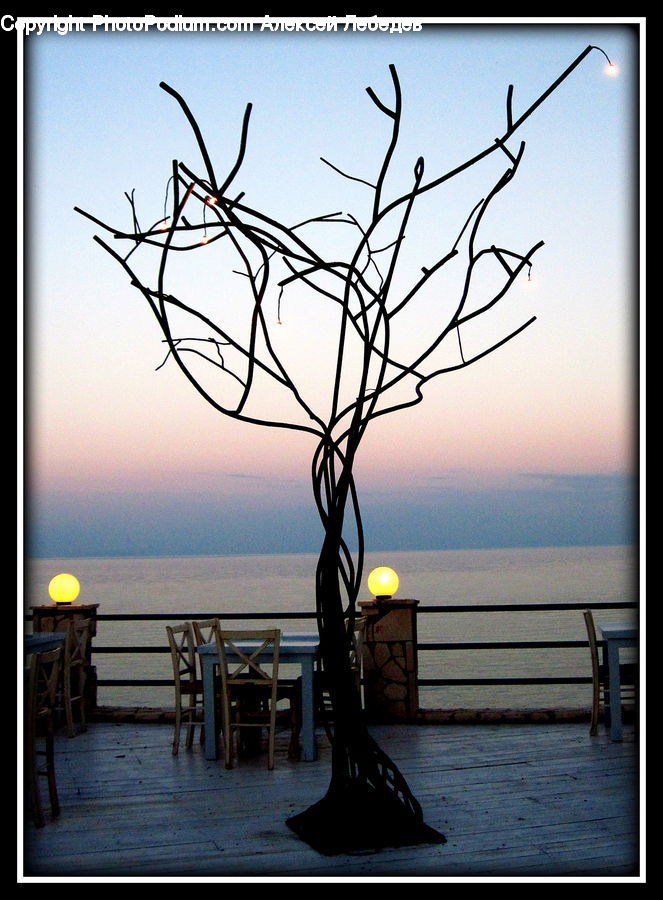 Bench, Flower Arrangement, Ikebana, Plant, Potted Plant, Vase, Dock