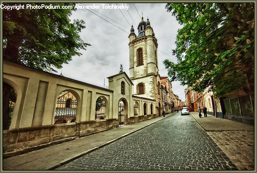 Cobblestone, Pavement, Walkway, Plant, Potted Plant, Road, Street