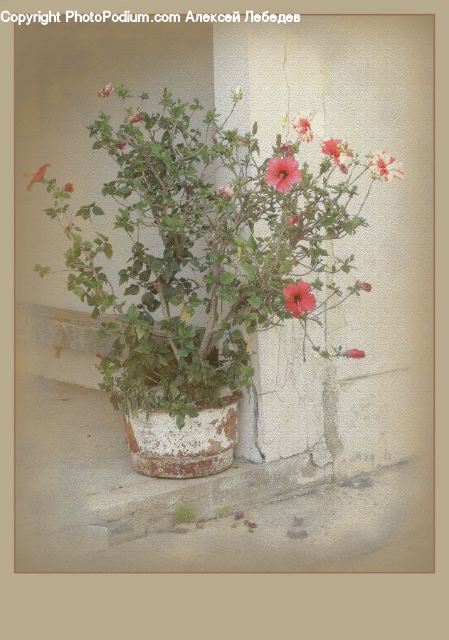 Plant, Potted Plant, Embroidery, Pot, Pottery, Fence, Wall