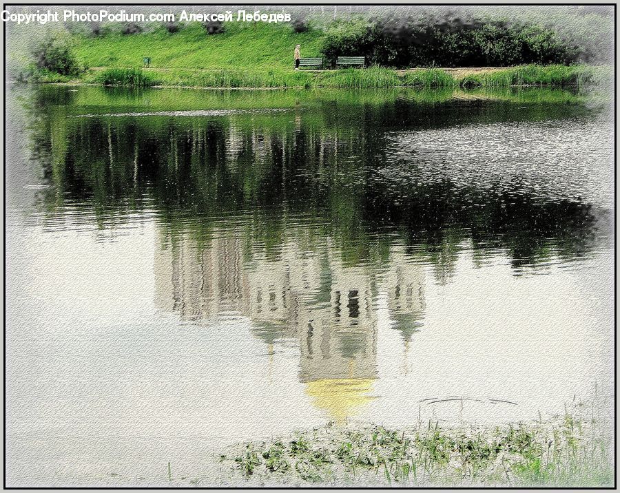 Outdoors, Pond, Water, Field, Grass, Grassland, Plant