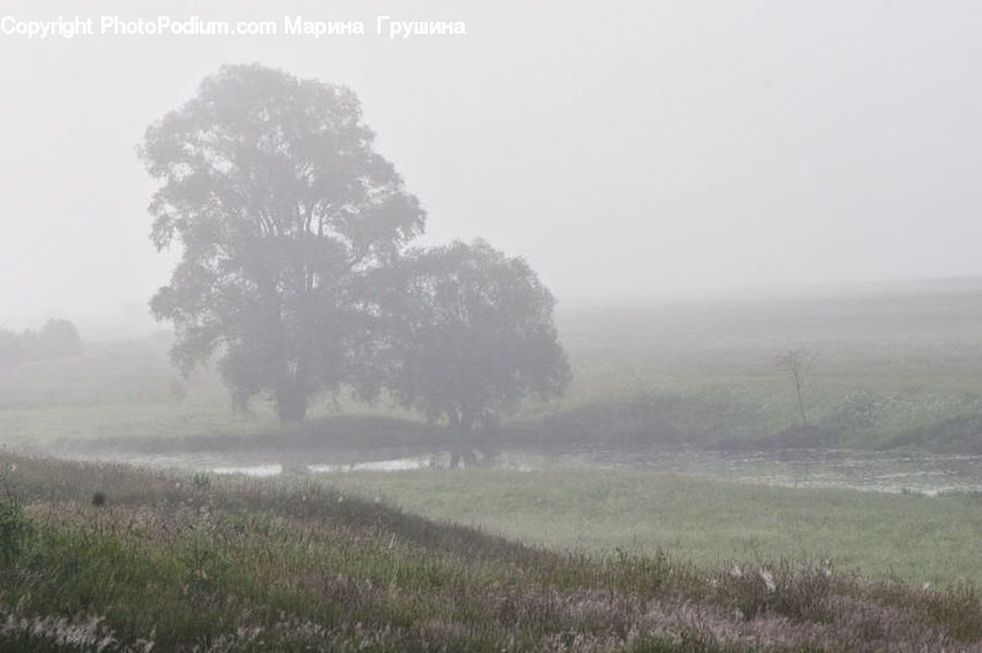 Fog, Mist, Outdoors