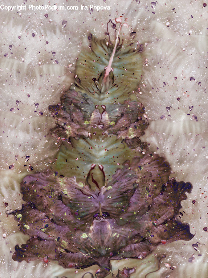 Garlic, Plant, Invertebrate, Sea Anemone, Sea Life, Blossom, Flora