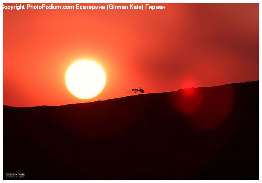 Flare, Light, Sun, Dawn, Dusk, Sky, Sunrise