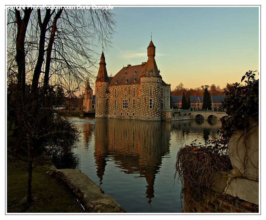 Plant, Potted Plant, Castle, Ditch, Fort, Moat, Outdoors
