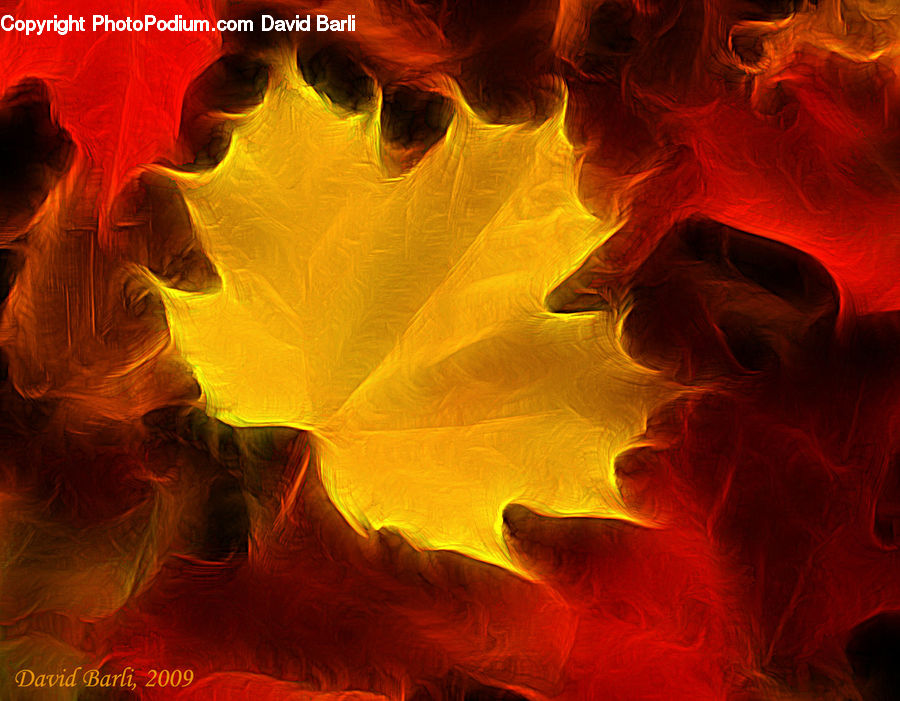 Cave, Fractal, Fire, Light, Art, Modern Art, Blossom