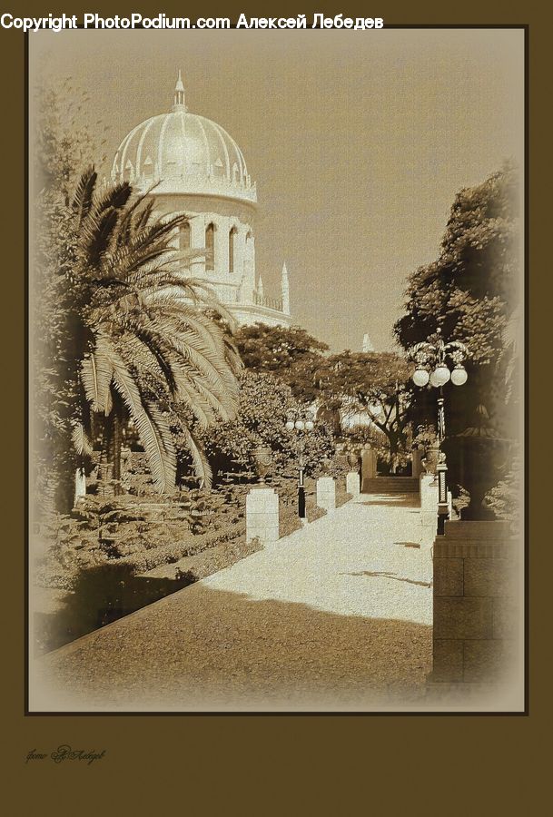 Plant, Potted Plant, Architecture, Bell Tower, Clock Tower, Tower, Art