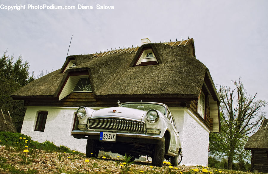 Building, Cottage, Housing, Automobile, Car, Convertible, Hot Rod