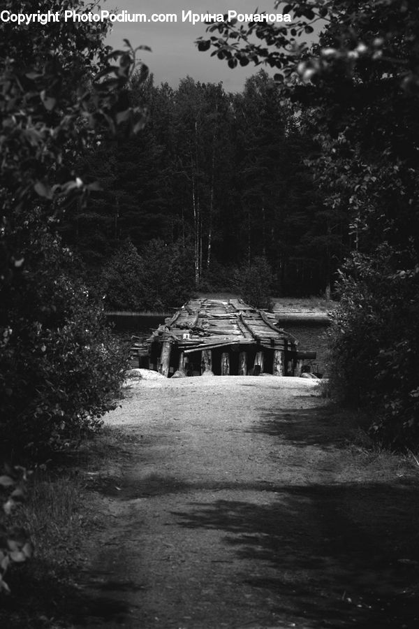 Cabin, Hut, Rural, Shack, Shelter, Forest, Vegetation
