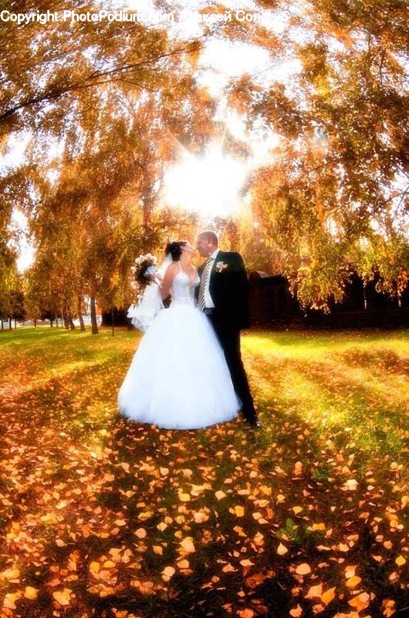 People, Person, Human, Bride, Gown, Wedding
