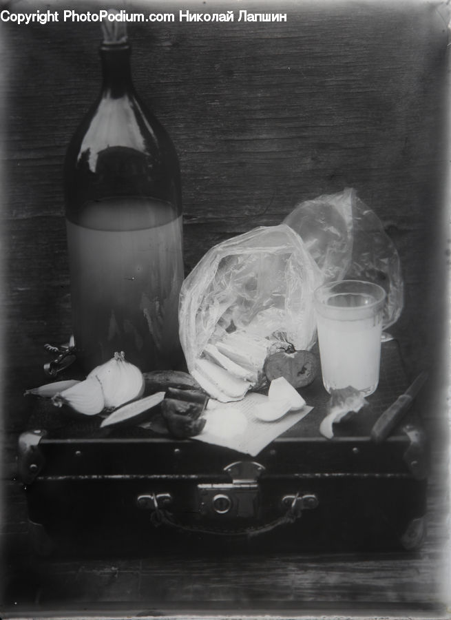 Bottle, Bird, Dove, Pigeon, Luggage, Suitcase, Beverage