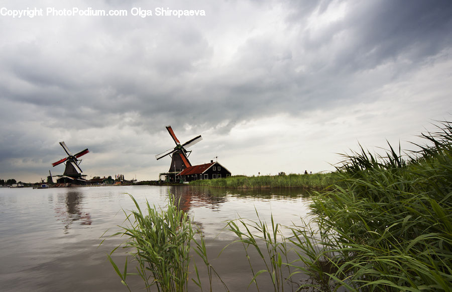 Field, Grass, Grassland, Plant, Reed, Boat, Canoe