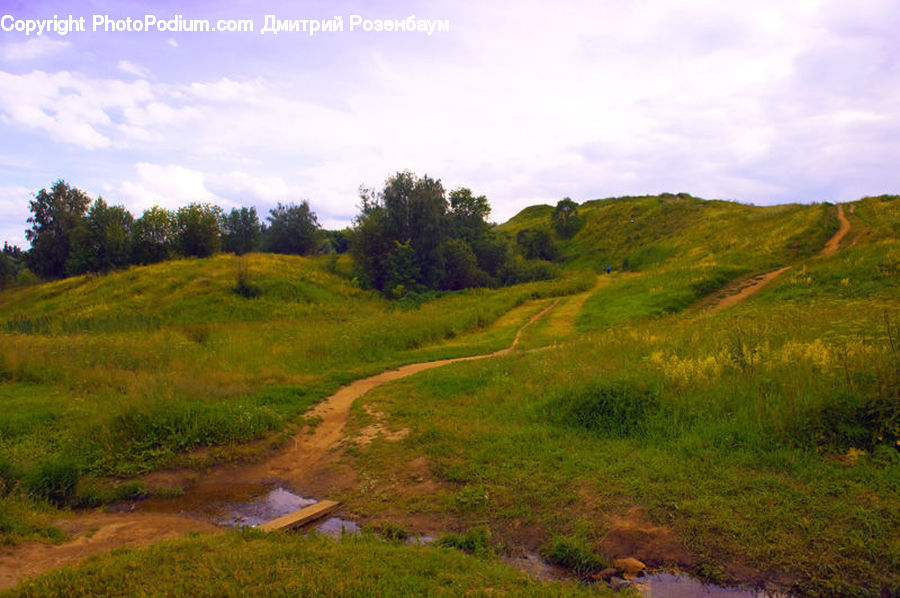 Field, Grass, Grassland, Land, Outdoors, Dirt Road, Gravel