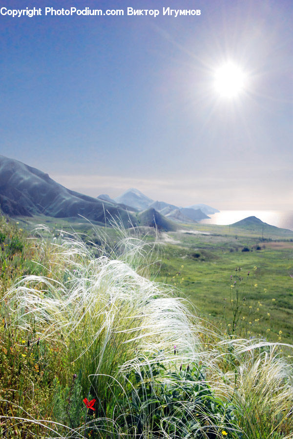 Field, Grass, Grassland, Land, Outdoors, Plant, Mountain