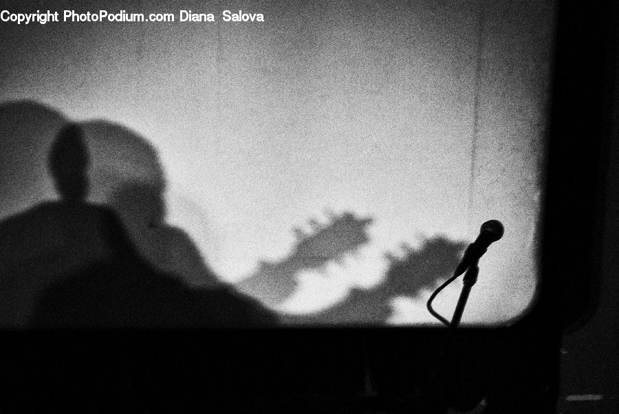Silhouette, Microphone