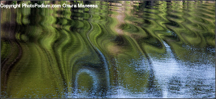 Outdoors, Ripple, Water, Forest, Jungle, Field, Grass