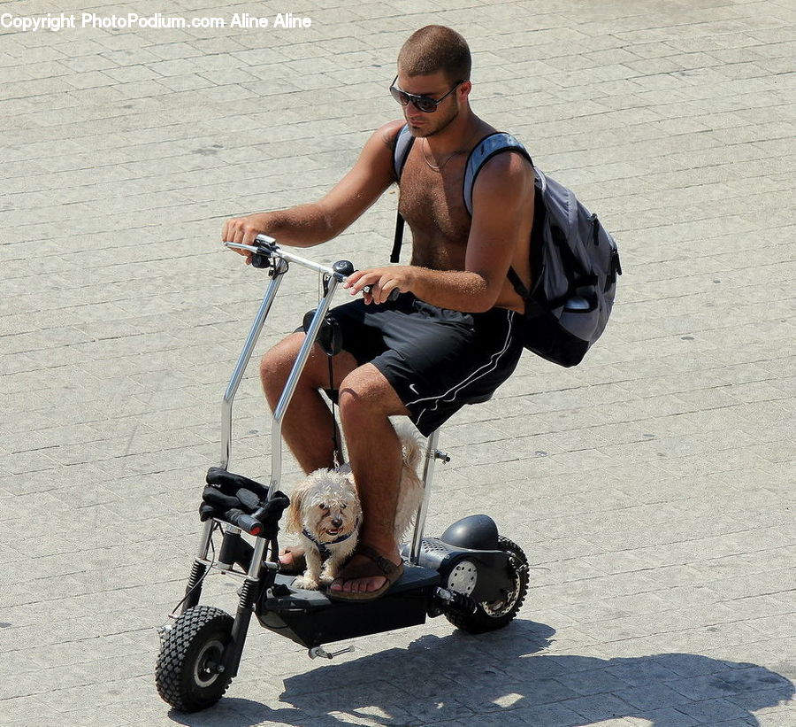 Human, People, Person, Motor, Motorcycle, Vehicle, Stroller