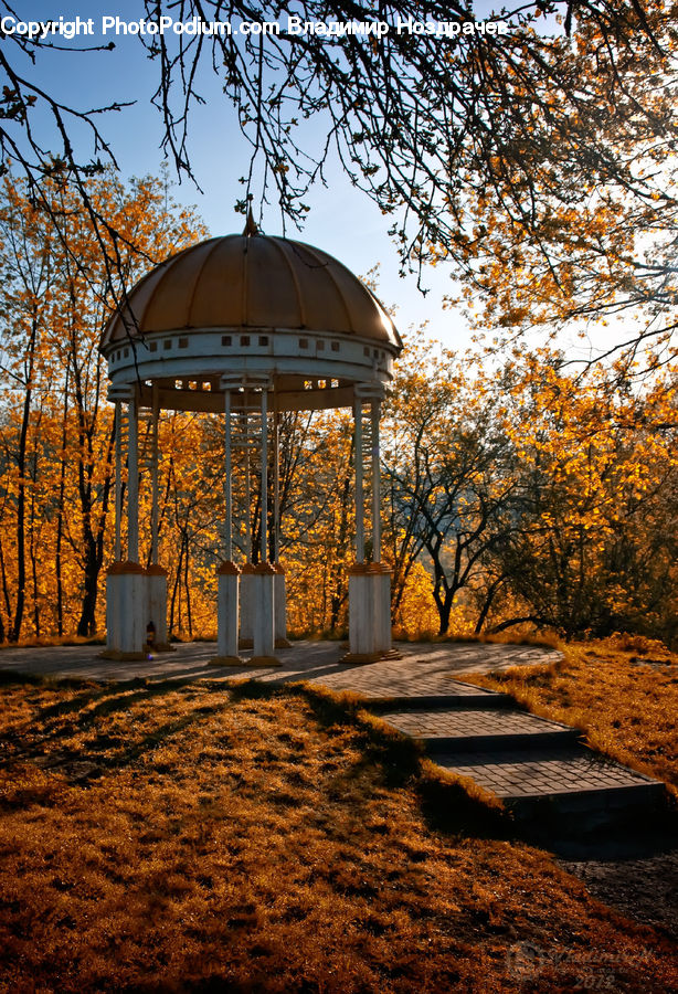 Gazebo, Soil, Asphalt, Tarmac