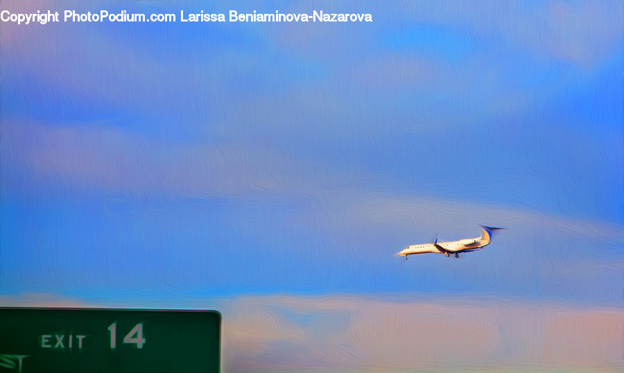 Bird, Seagull, Aircraft, Airplane, Crane Bird, Heron, Adventure
