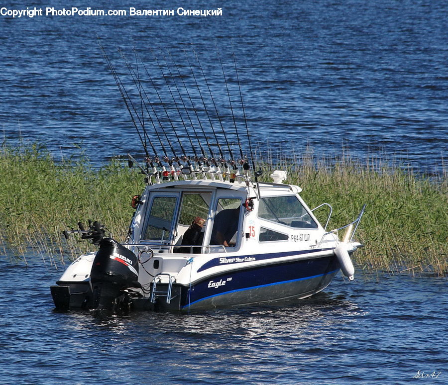 Boat, Watercraft, Dinghy, Cruise Ship, Ferry, Freighter, Ship