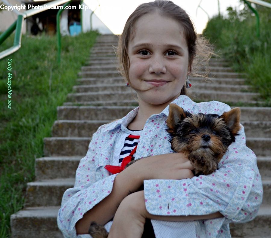 People, Person, Human, Animal, Canine, Dog, Mammal