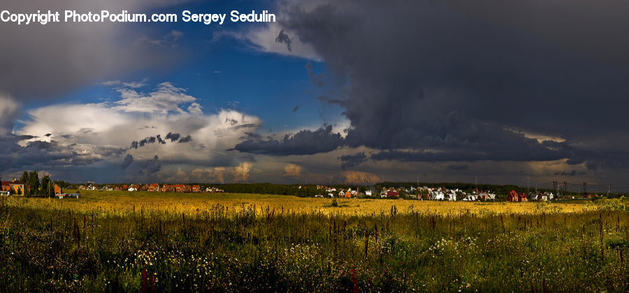 Azure Sky, Cloud, Outdoors, Sky, Cumulus, Field, Grass