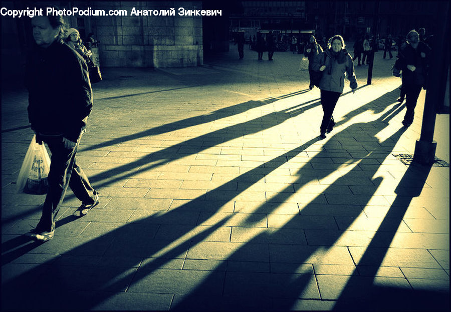 Human, People, Person, Asphalt, Road, Zebra Crossing, Leisure Activities