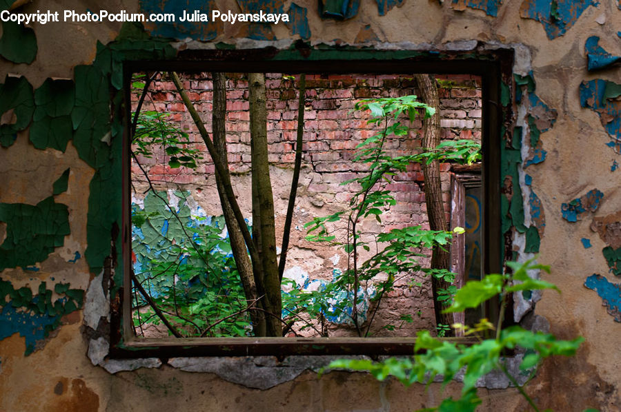 Brick, Plant, Potted Plant, Vine, Window, Balcony, Ivy