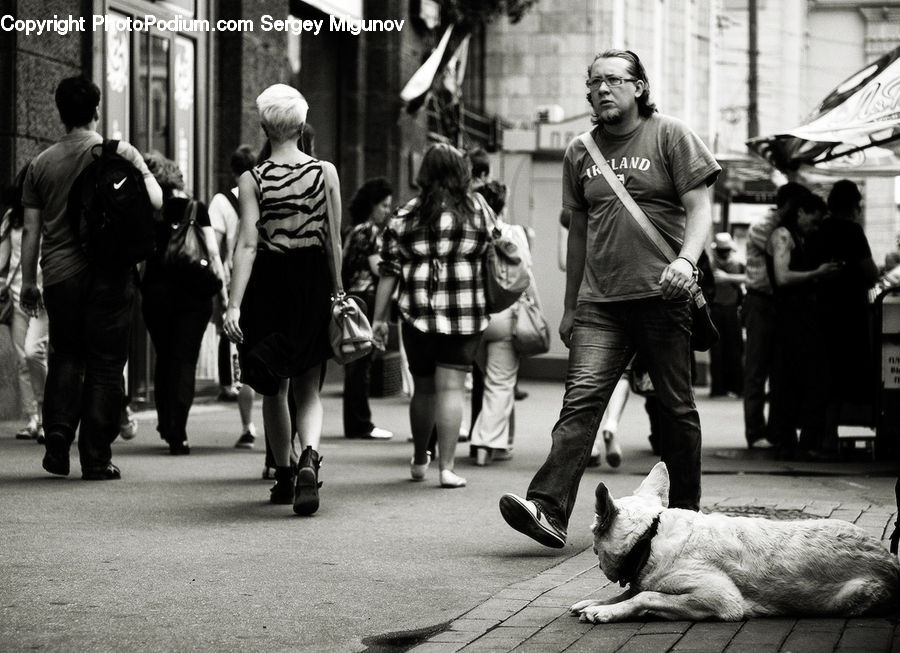 Human, People, Person, Asleep, Performer, Animal, Pedestrian