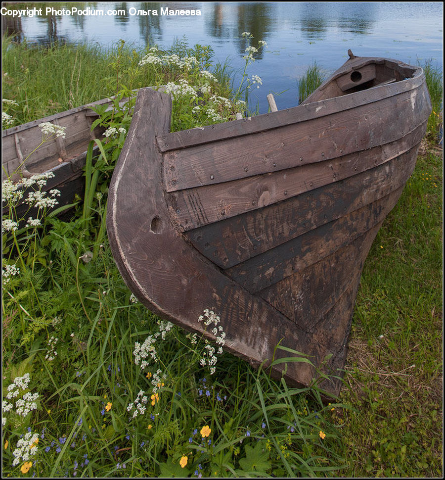 Boat, Dinghy, Rowboat, Vessel, Herbal, Herbs, Plant