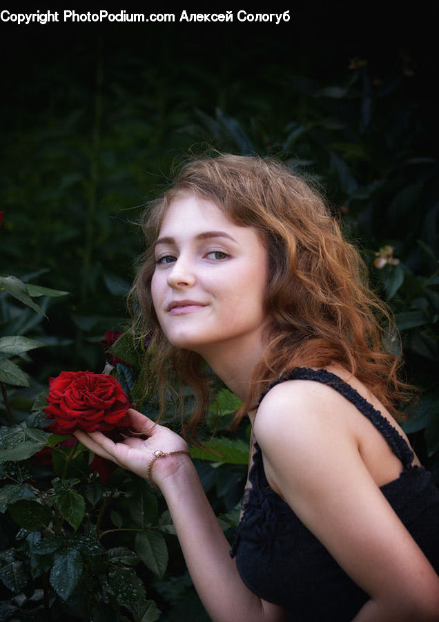 Human, People, Person, Blossom, Flower, Plant, Rose