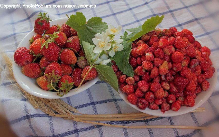 Fruit, Strawberry, Raspberry, Dessert, Food, Blossom, Flora