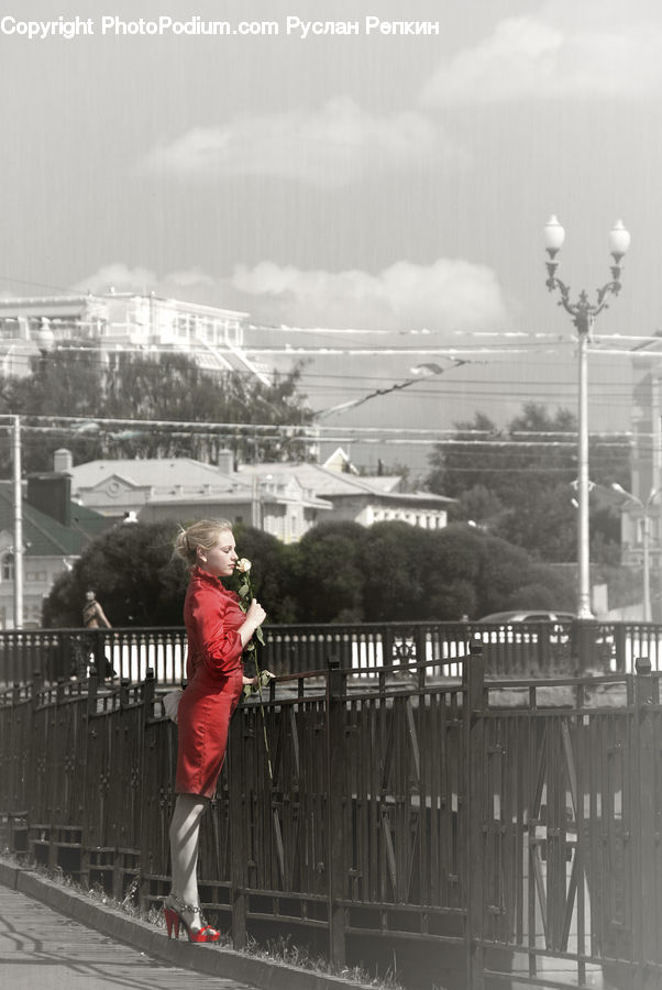 People, Person, Human, Blonde, Female, Woman, Alps