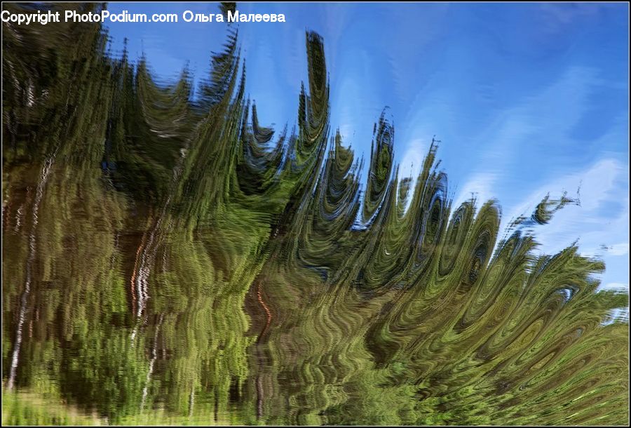 Conifer, Fir, Plant, Tree, Grain, Wheat, Field