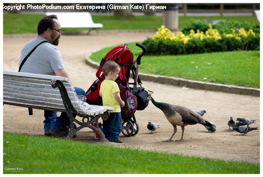 People, Person, Human, Stroller, Bench, Tricycle, Vehicle