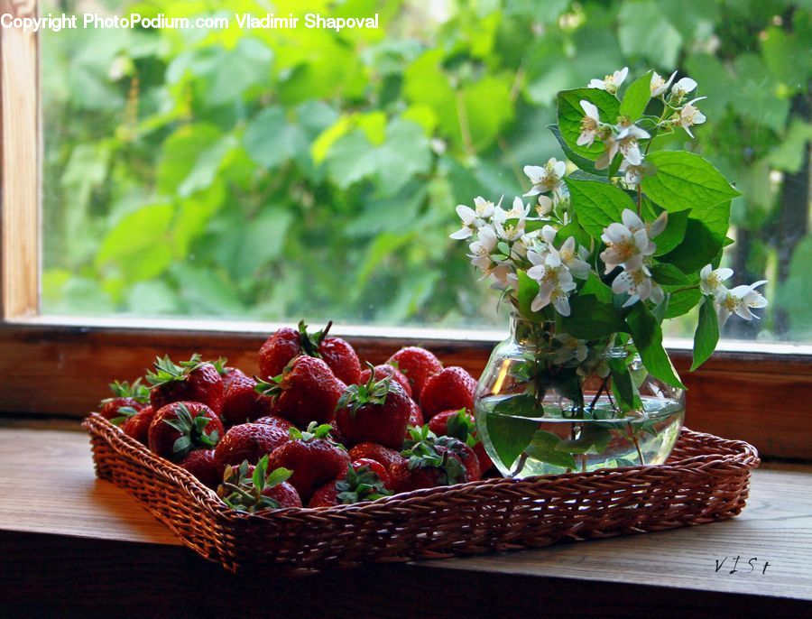 Plant, Potted Plant, Fruit, Strawberry, Bonsai, Tree, Grapes