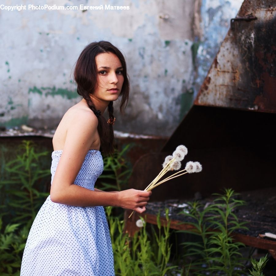 People, Person, Human, Rust, Plant, Potted Plant, Incense