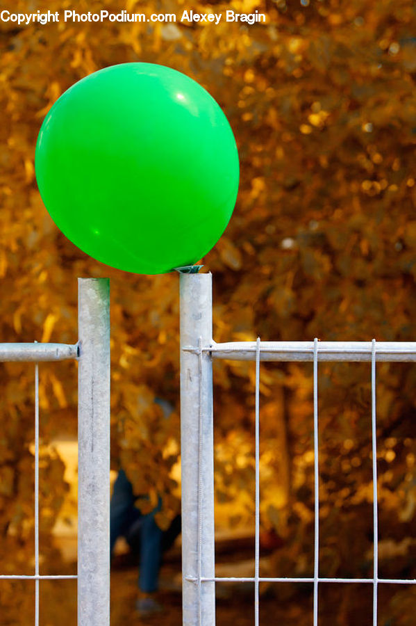 Plant, Potted Plant, Collage, Poster, Ball, Sphere