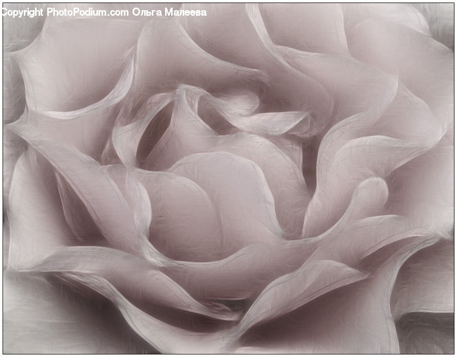 Paper, Blossom, Flower, Peony, Plant, Cushion, Home Decor