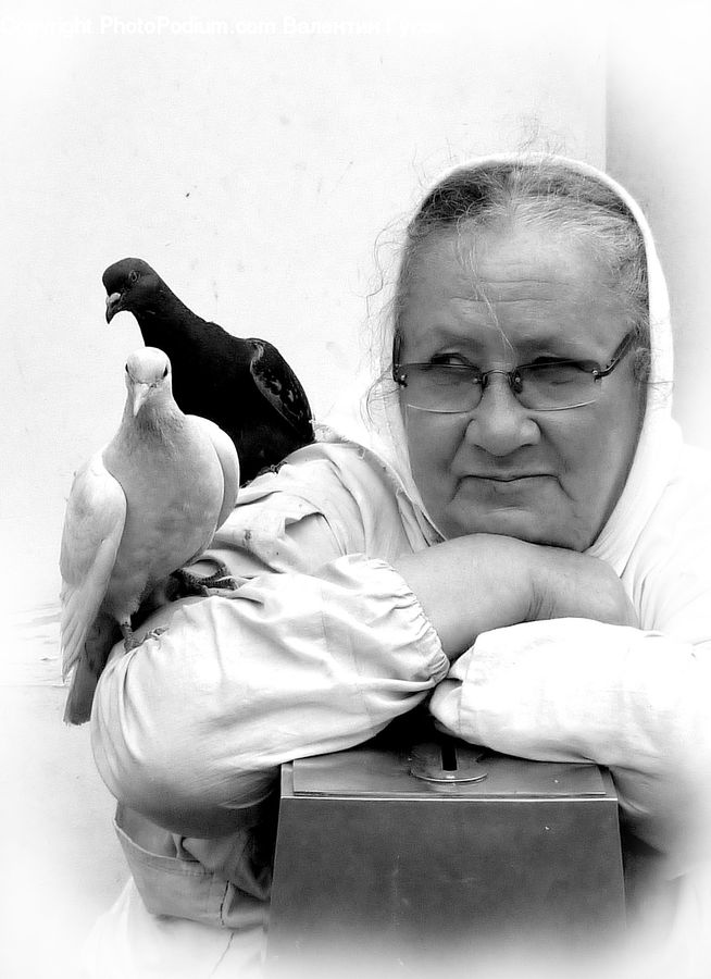 People, Person, Human, Bird, Pigeon, Seagull, Portrait