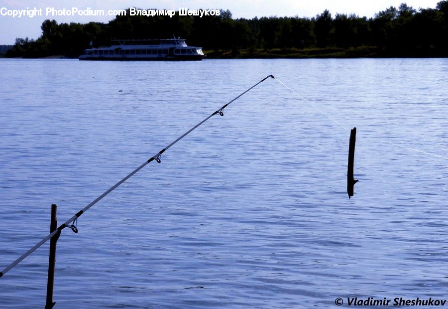 Conifer, Fir, Pine, Spruce, Wood, Leisure Activities, Boat