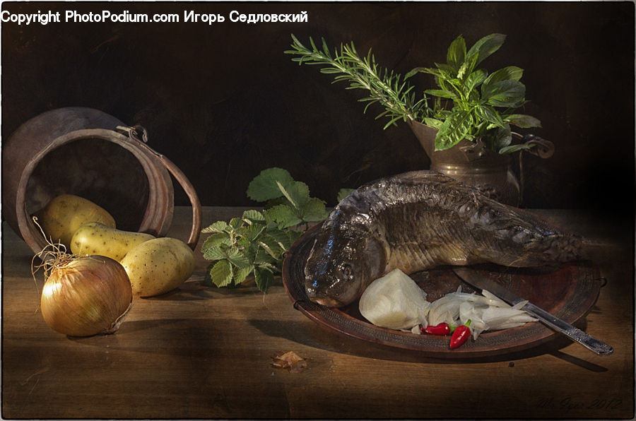 Plant, Potted Plant, Produce, Vegetable, Onion, Shallot, Garlic
